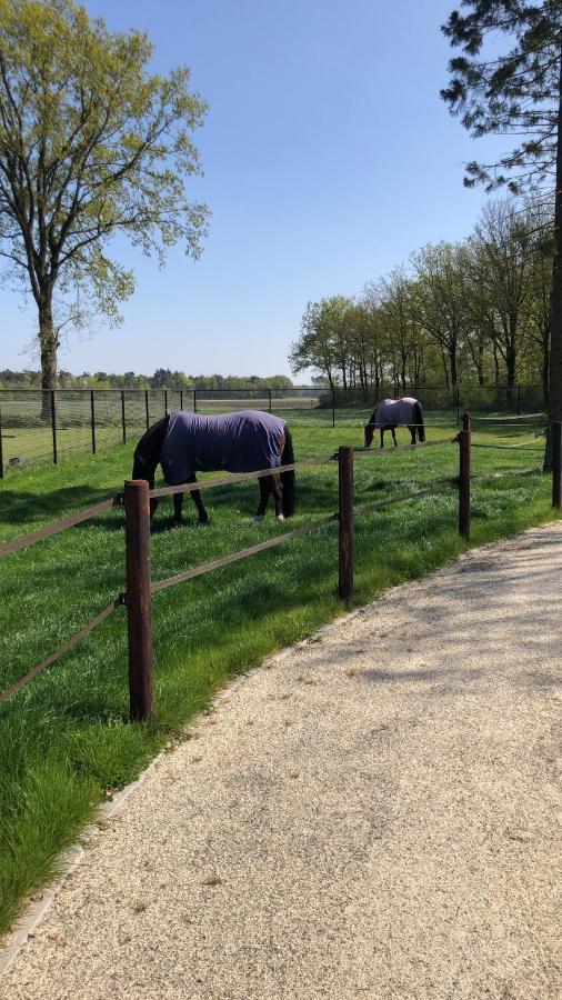 مبيت وإفطار Riethoven Horse And Hound المظهر الخارجي الصورة