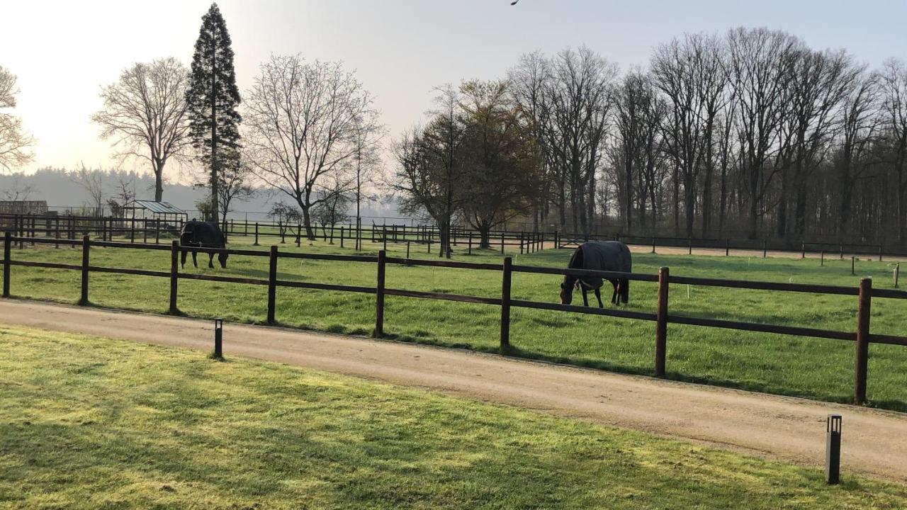 مبيت وإفطار Riethoven Horse And Hound المظهر الخارجي الصورة